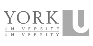 York University